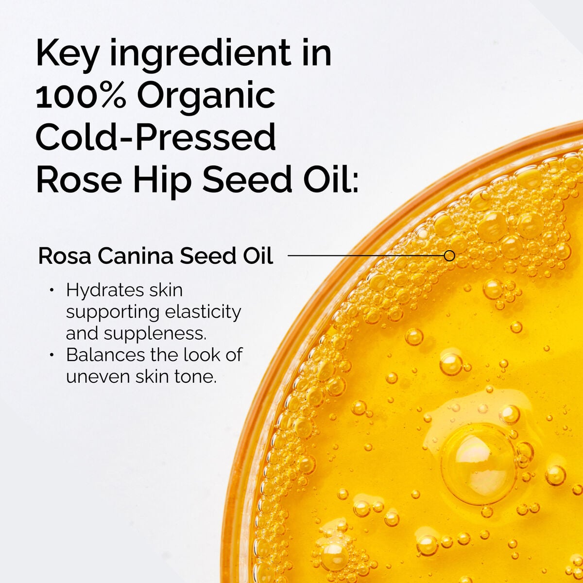 100% Organic Cold-Pressed Rose Hip Seed Oil - Soft Glow