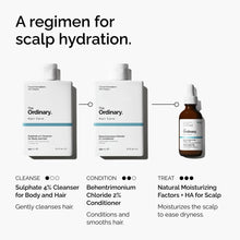 Natural Moisturizing Factors + HA for Scalp - Root Reset
