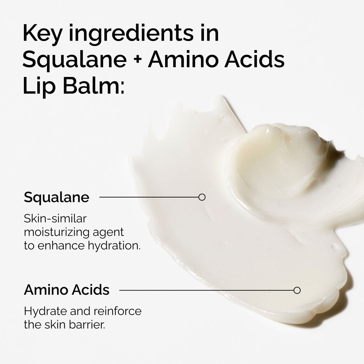 Squalane + Amino Acids Lip Balm - Modern Glow