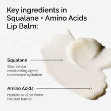 Squalane + Amino Acids Lip Balm - Modern Glow