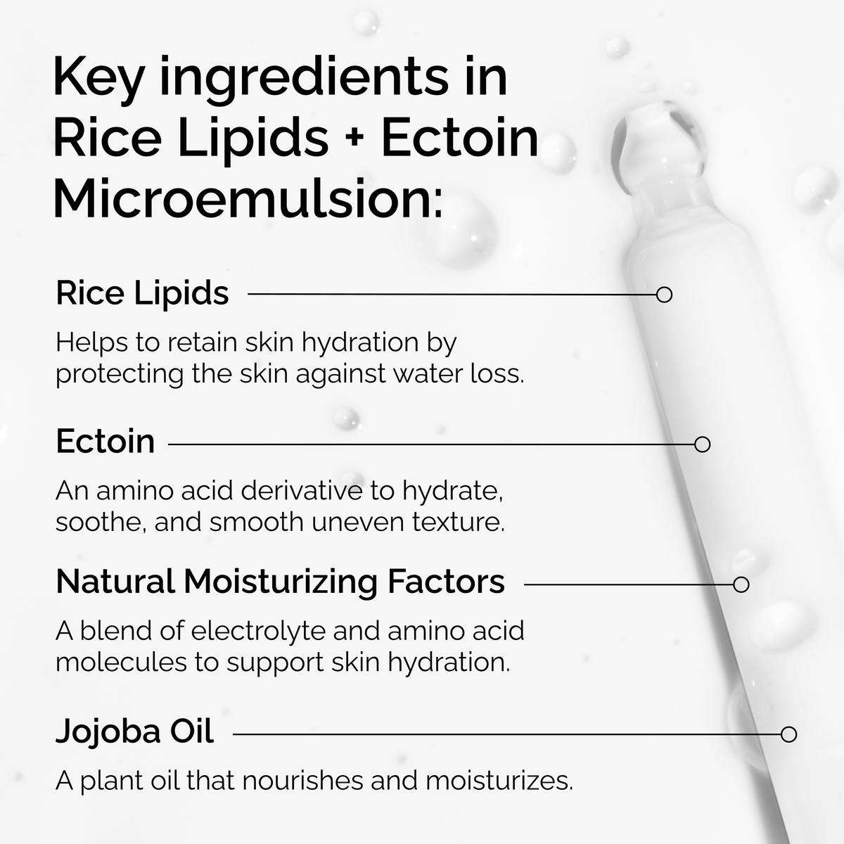 Rice Lipids + Ectoin Microemulsion - Easy Set