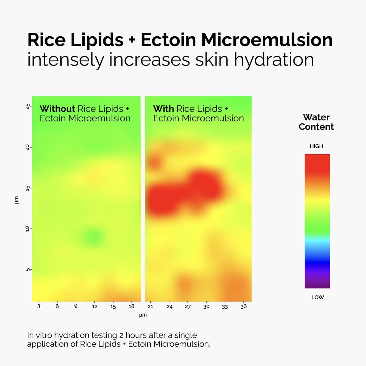 Rice Lipids + Ectoin Microemulsion - Easy Set