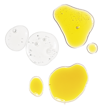 The Antioxidant Collection - Fresh Pair